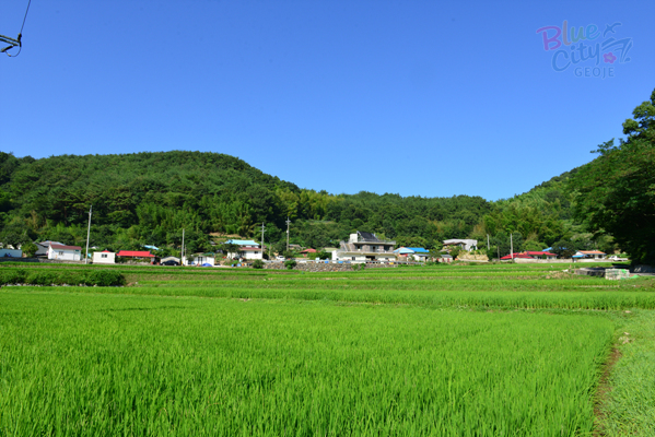연초면 이목리 전경(1)