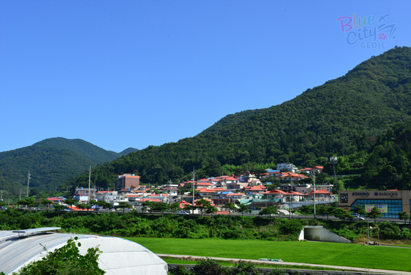 연초면 죽토리 전경(1)