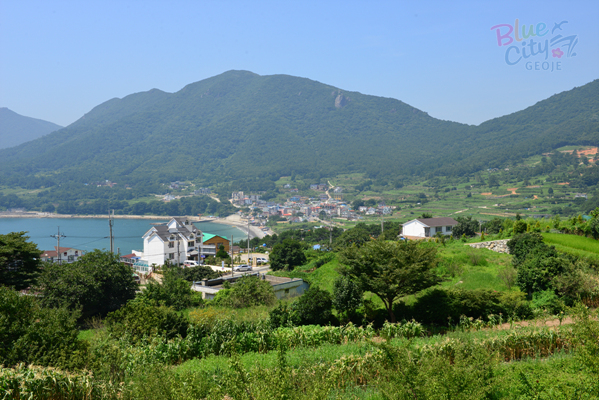 일운면 망치리 전경(1)