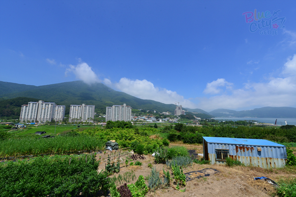 일운면 소동리 전경