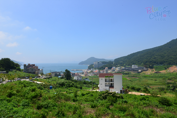 일운면 와현리 전경