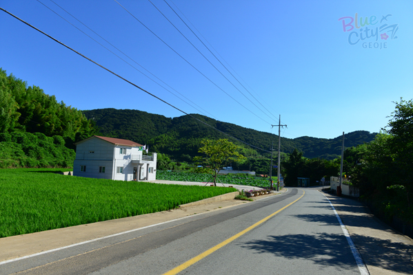 하청면 대곡리 전경(1)