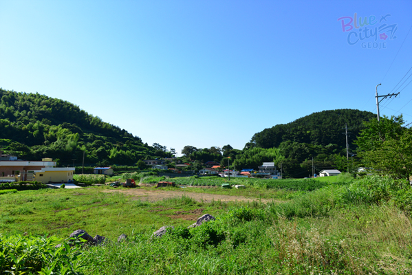 하청면 대곡리 전경(2)