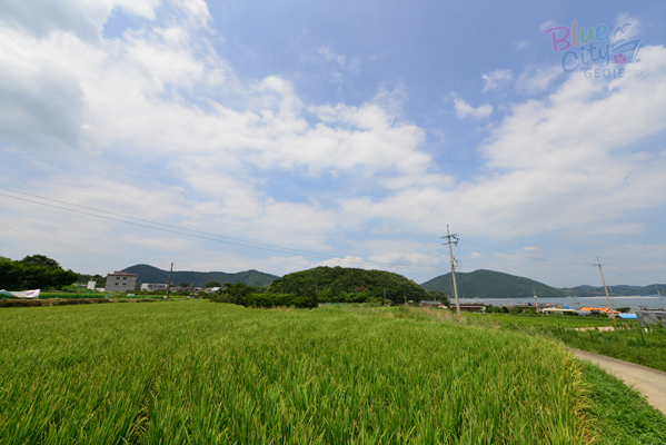 하청면 덕곡리 전경