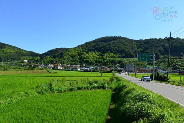 하청면 실전리 전경
