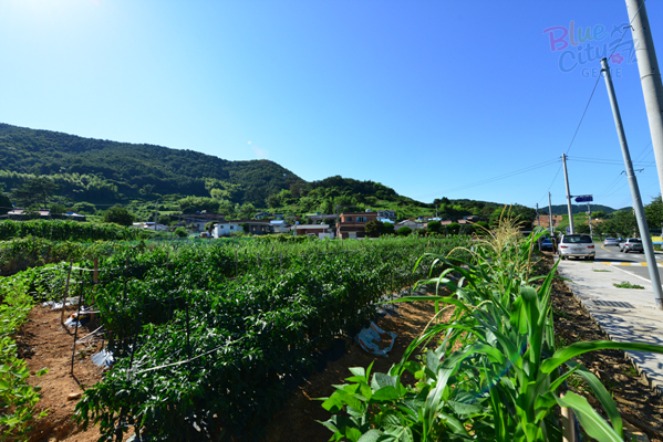 하청면 어온리 전경(2)