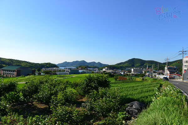 하청면 하청리 전경(2)