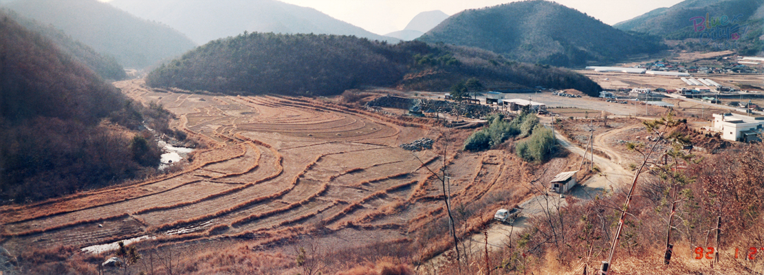 동부면 서당골 전경