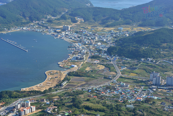 일운면 지세포항(1)