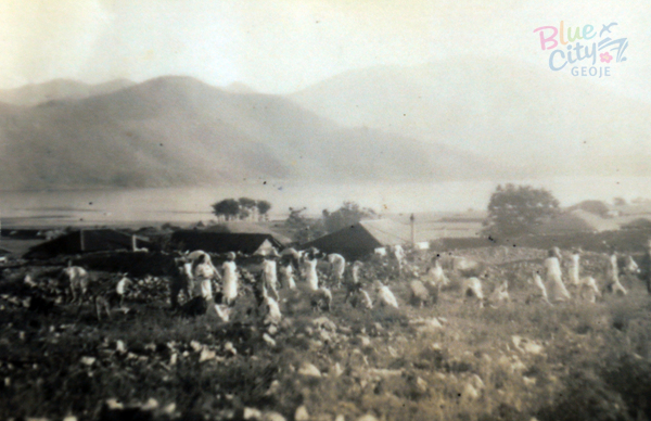 포로수용소 폐쇄(수용소터 경작지 만들기 2)