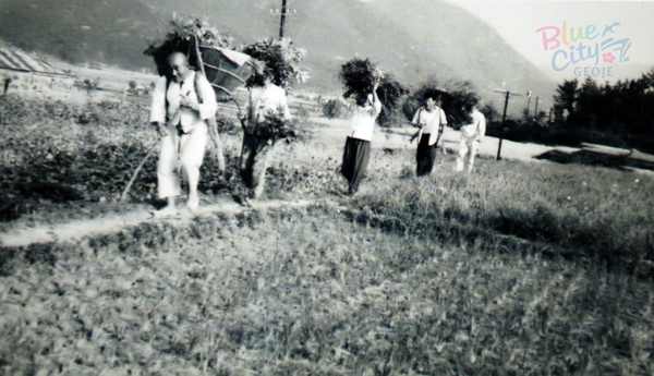 생활풍경(풀을 지고 가는 농민들)