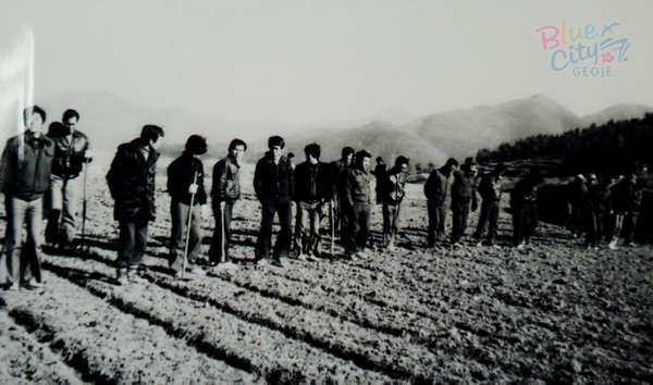 생활풍경(보리밟기)