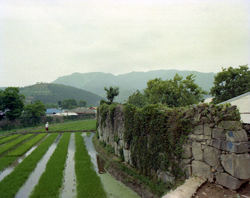 생활풍경(담벽이 된 사등성)