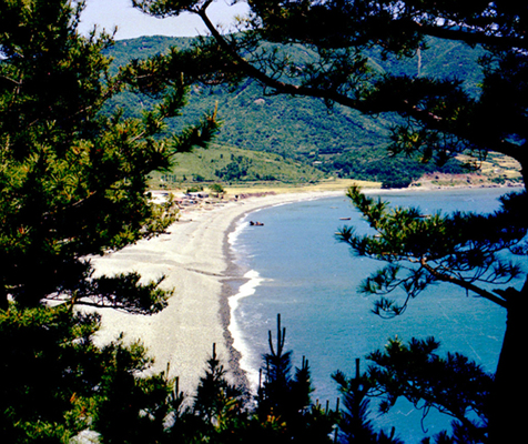 학동해수욕장(전경)