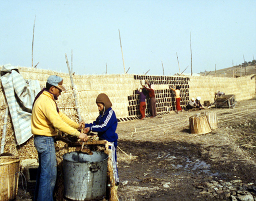 생활풍경(주민들의 생업. 김 만들기 2)