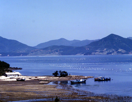 생활풍경(주민들의 생업. 내간 해안의 굴양식장)