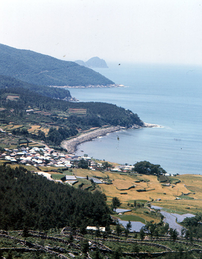 생활풍경(망치마을의 가을)