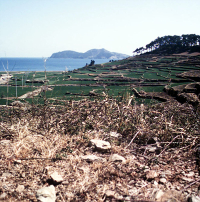 생활풍경(학동골의 천수답)