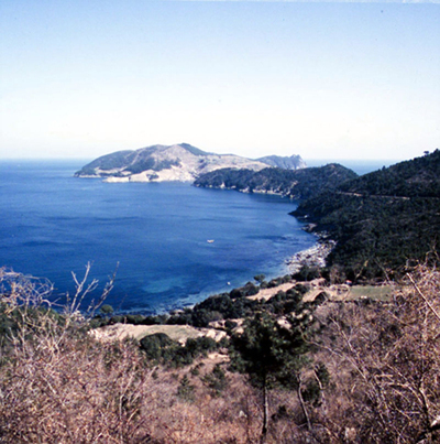 생활풍경(도장포가 보이는 학동 남쪽)