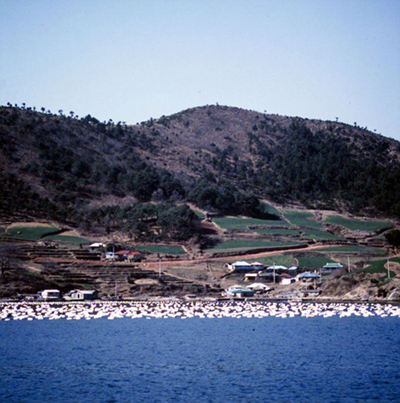 생활풍경(바닷가 어촌 풍경)