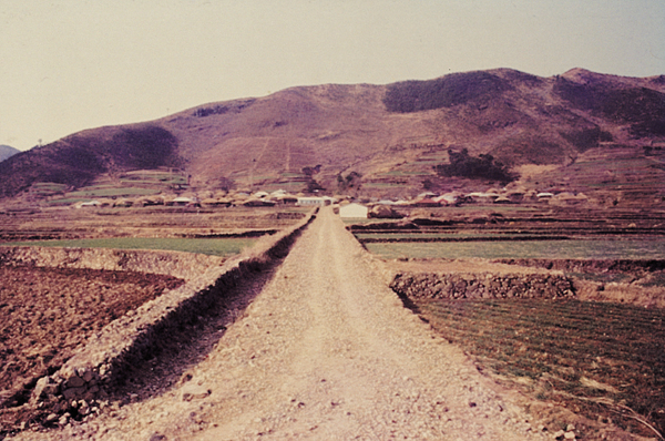 공공사업(사등면 대리마을 마을진입로. 2000년대 사진과 비교)