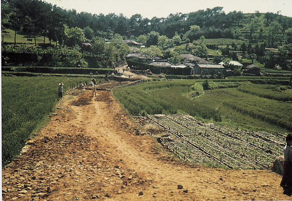 공공사업(청곡마을 진입로 개설)
