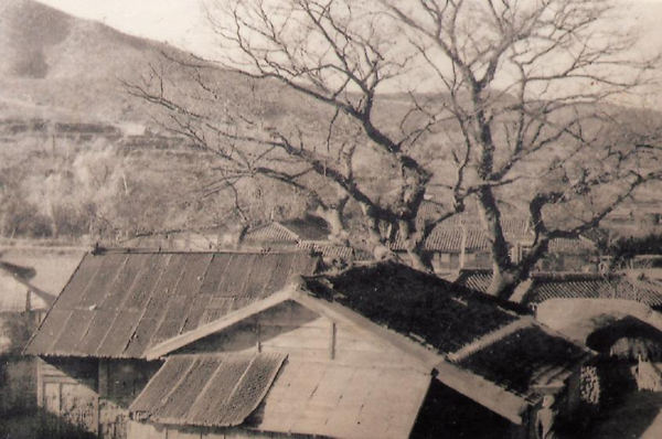 생활풍경 학창시절(장목중학교 옛 학교건물 모습)