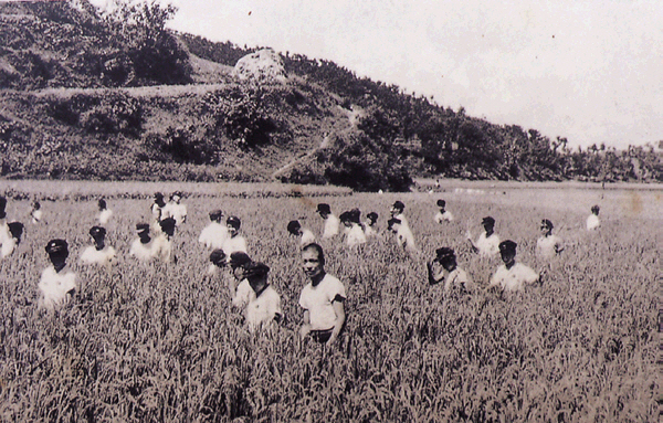 생활풍경 학창시절(장목중학생들의 농촌봉사활동 광경)