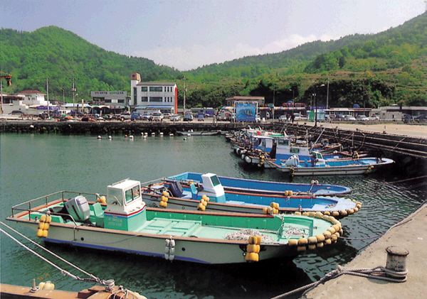 생활풍경(구영항)