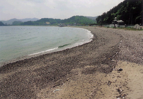 생활풍경(임호해변)