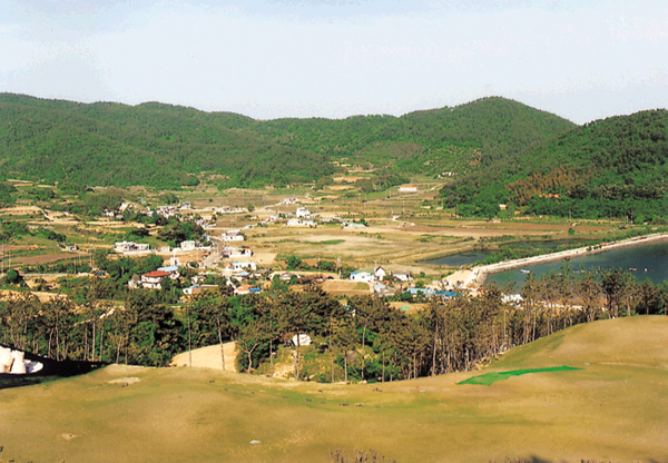 생활풍경(송진포마을 전경)