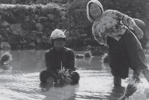 생활풍경(주민들의 생업. 신촌마을 부녀자들의 모내기 작업)