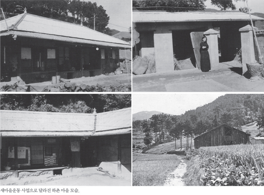 새마을운동(새마을사업으로 개량된 지붕)