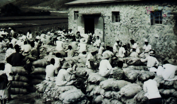 생활풍경(주민들의 생업. 추곡수매)