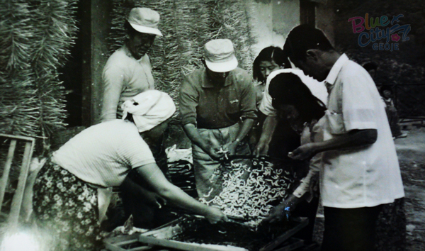 생활풍경(주민들의 생업. 송정마을의 누에치기)