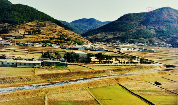 생활풍경(1980년 수월초등학교 주변 늦가을 1)