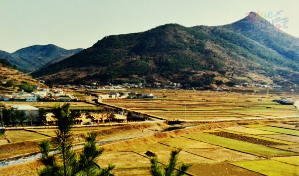 생활풍경(1980년 수월초등학교 주변 늦가을 2)