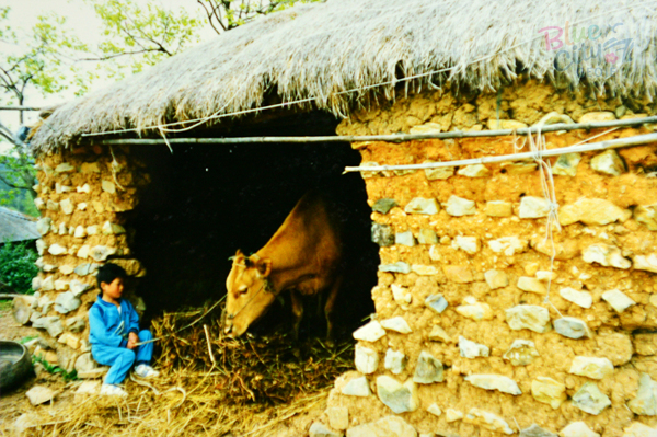 생활풍경(소우리)