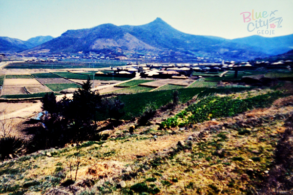 생활풍경(독봉산 자락에서 바라본 제산마을과 국사봉)