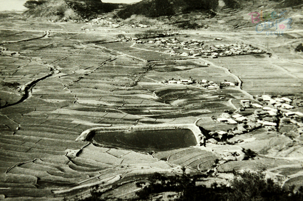 생활풍경(1960년대 오량 일대의 들녁)