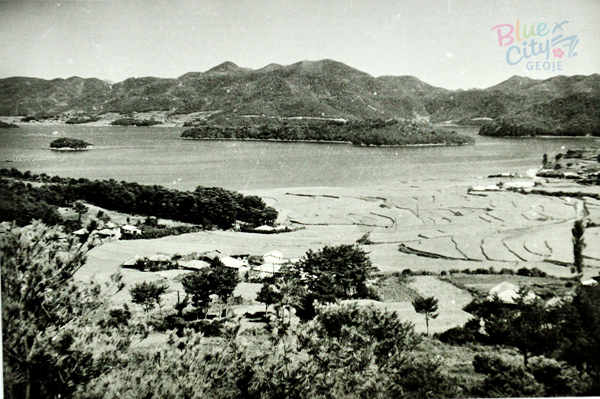 생활풍경(1960년대의 대섬과 장평들녁)