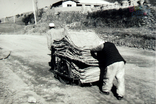 생활풍경(짚 가마니)