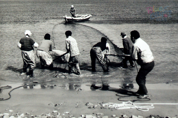생활풍경(바닷가에서 어망 끌기)
