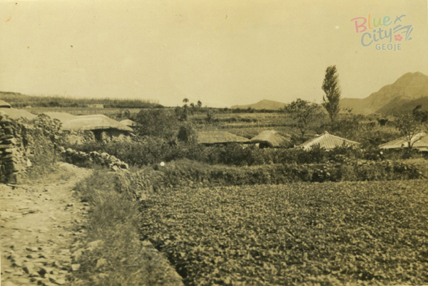 생활풍경(농가 풍경)