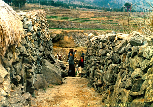 생활풍경(돌담길)