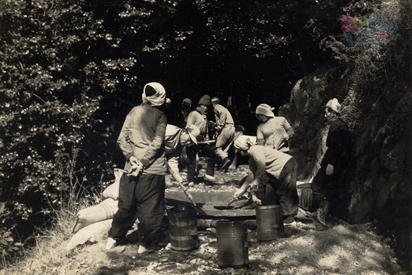 생활풍경(지심도 숲길 2)