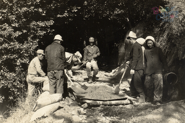 생활풍경(지심도 숲길 3)