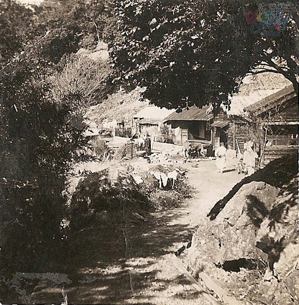 생활풍경(지심도분교 4)