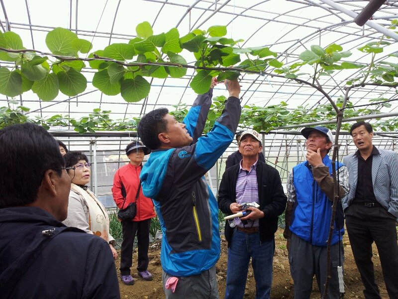 품목별상설교육 참다래 현장컨설팅 이미지