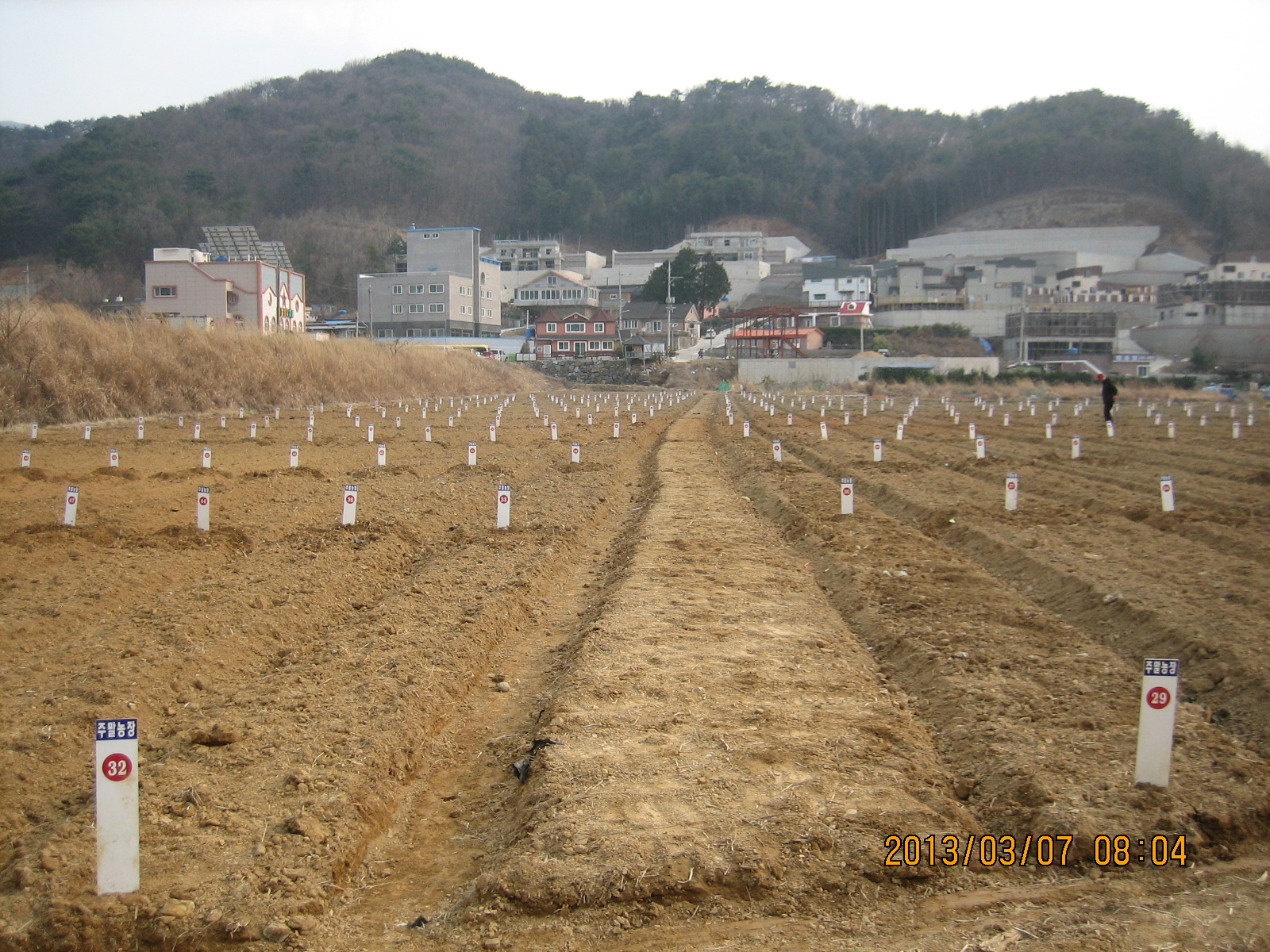 2013 주말농장 분양중 입니다 이미지
